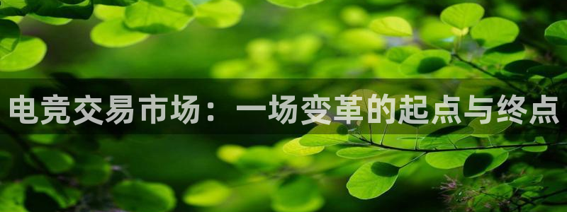 安博电竞app安卓：电竞交易市场：一场变革的起点与终点